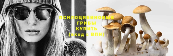 спайс Алексеевка