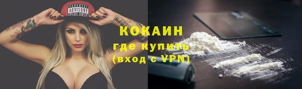 сатива Арсеньев