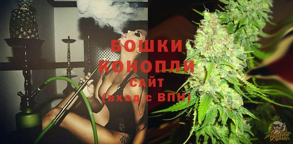 сатива Арсеньев