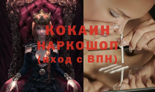сатива Арсеньев