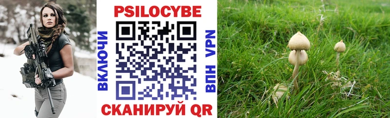 Псилоцибиновые грибы Psilocybine cubensis  сколько стоит  Азнакаево 